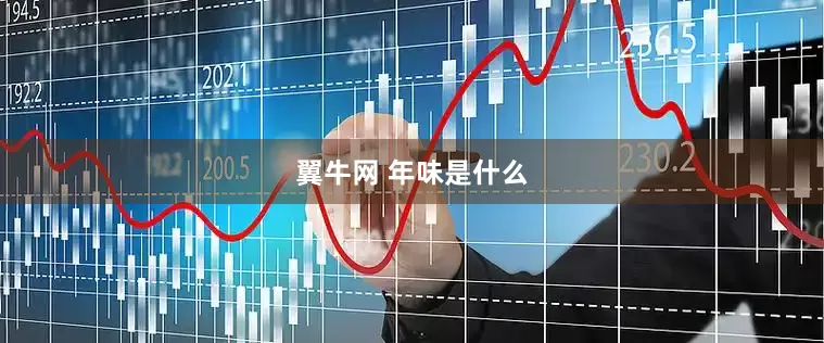 翼牛网 年味是什么